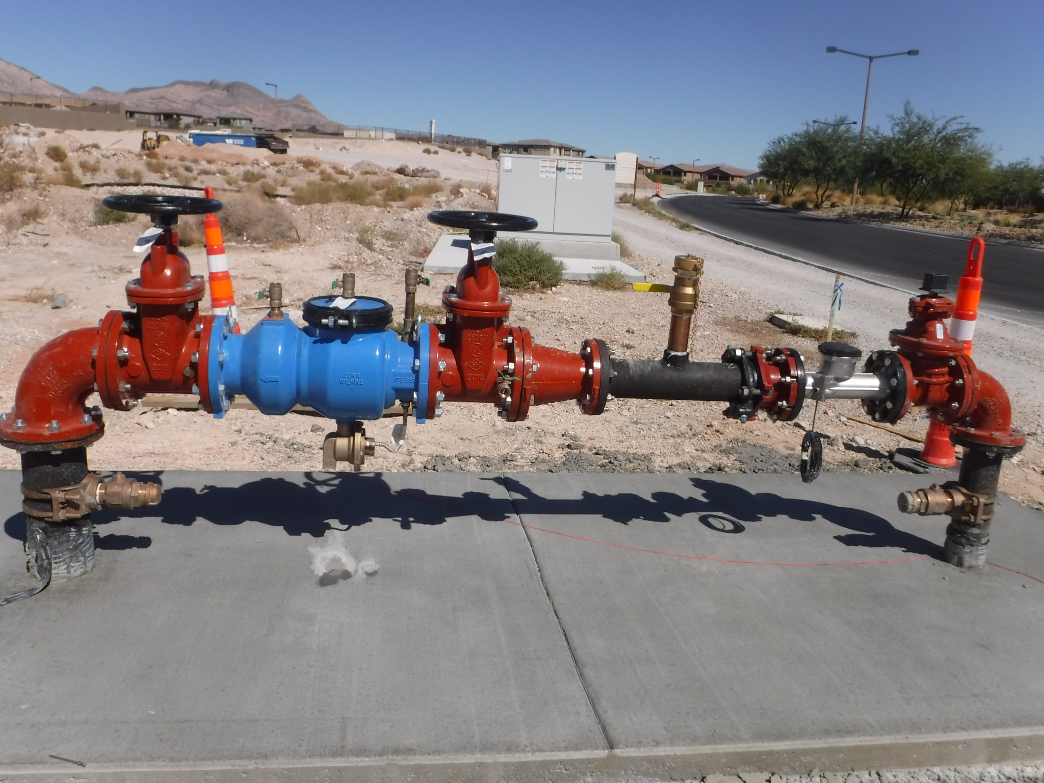 Above Grade Water Backflow Prevention Assembly 